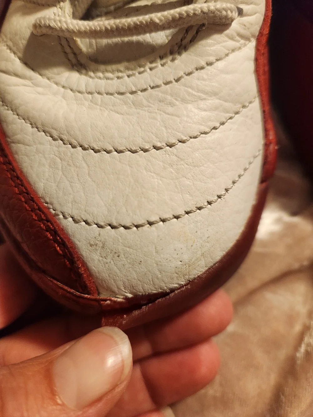 Nike Air Jordan 12 - Picture 6 of 6